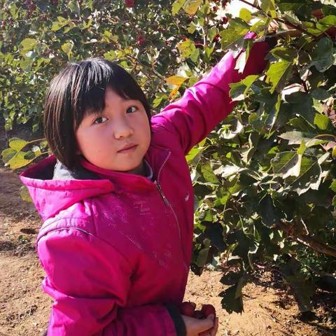 享受快乐、收获成长。东平乐小学校园采摘节！