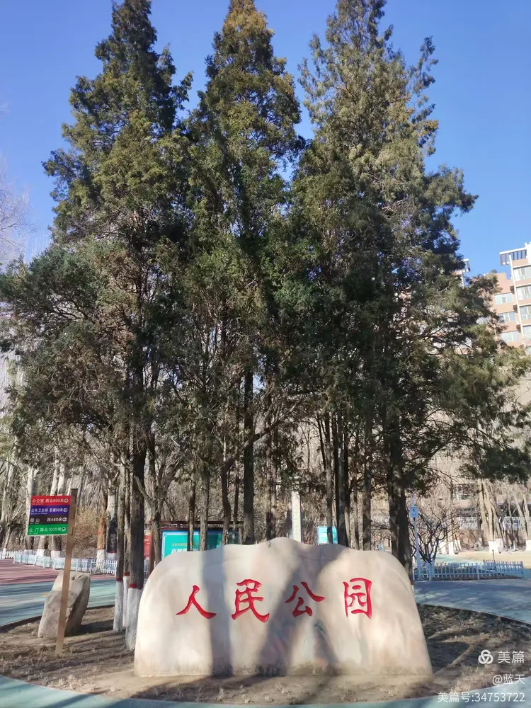 东河天气在线