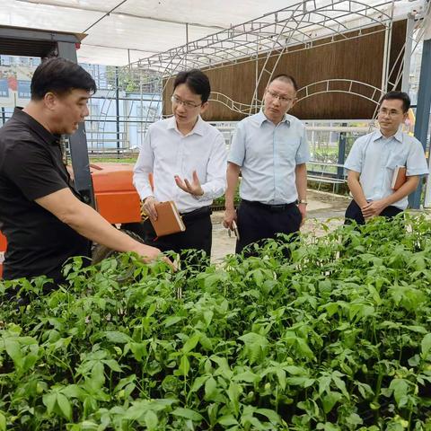 庄俊彬副行长到麻章镇进行乡村振兴工作调研