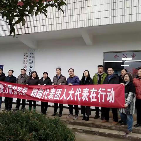 聚力扶贫攻坚  鹦鹉代表团人大代表在行动