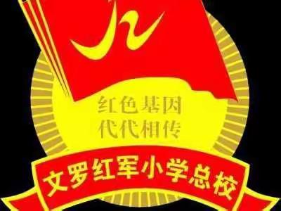 陵水黎族自治县文罗中心小学  2023年1月9日语文线上学习简报