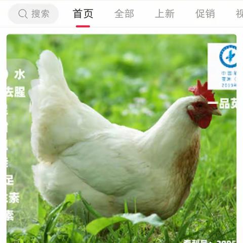 苋香牌健康食材走进社区系列报道    （一）