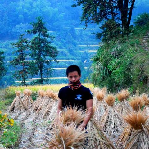 《岁月与成长》38：自由与焦灼