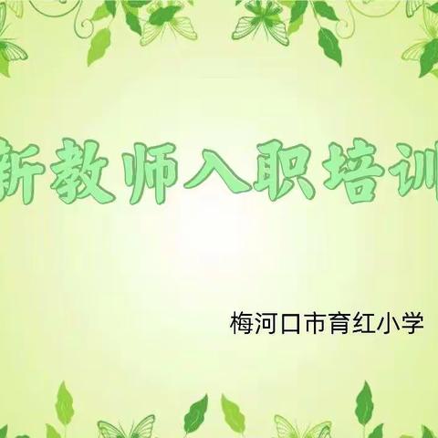 从“新”出发，用“心”前行——育红小学新教师入职培训