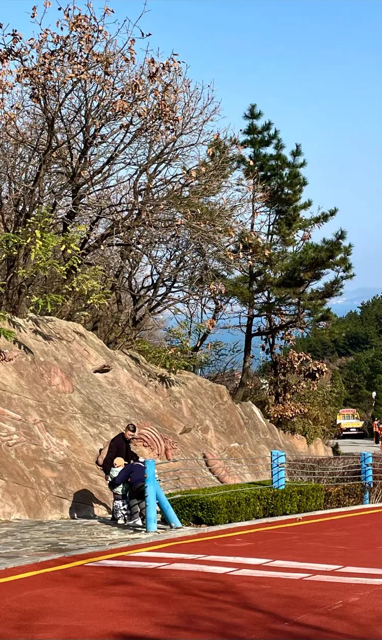 滨海路的初冬 2024.11.9