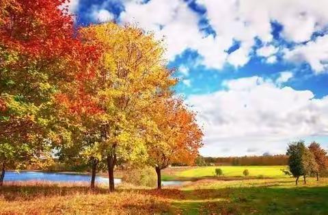 傲竹诗韵（第三十一期）