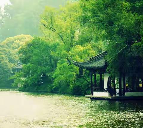 傲竹诗韵（十六）