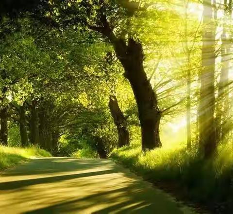 傲竹诗韵（第三十期）