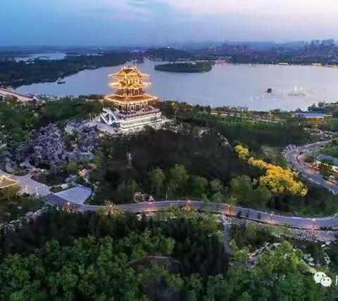 傲竹诗韵（十七）