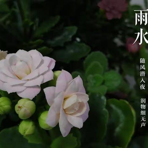 润物细无声，爱“尚”节气记心中——桂林市尚贤学校182班“二十四节气” 课程之雨水体验活动