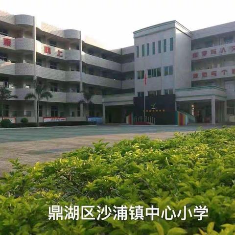 青蓝携手     逐梦前行——沙浦镇中心小学“青蓝工程”师徒结对活动