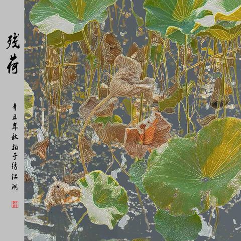 荷拍无止境 永远在路上（二）