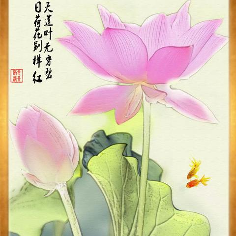 荷拍无止境  永远在路上