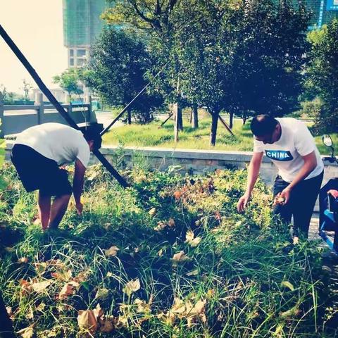 同心同力，创城迎检---潍坊蓝海学校创城迎检8.22工作日志