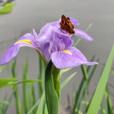 一花一世界，一叶一乾坤，用花的色彩，温暖你的心情。