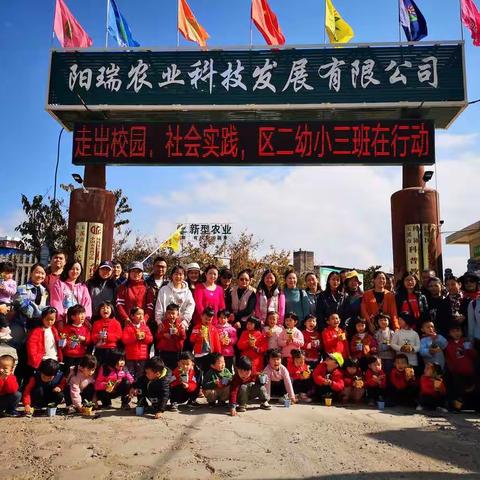 《你好，蔬菜》——红塔区第二幼儿园小三班社会实践活动