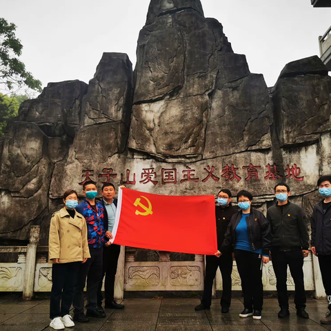 缅怀革命先烈 继承革命传统 ——江夏区湖泗卫生院党支部清明祭扫活动