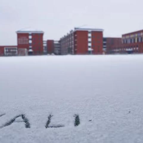 记录一次冰雪中的守护