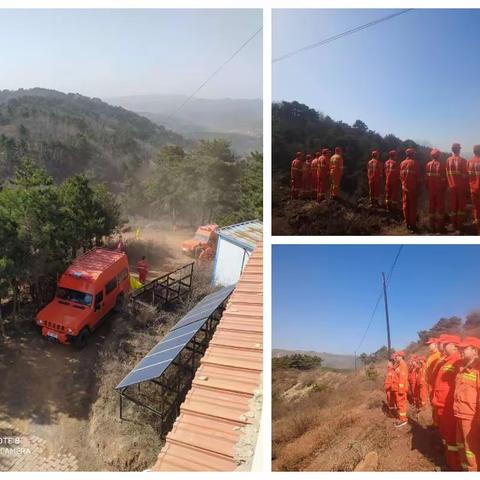 沁县林业局多措并举强化森林资源管护