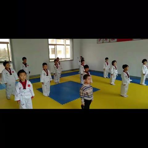 星禾艺术培训学校———跆拳道班新学年报名开始啦！