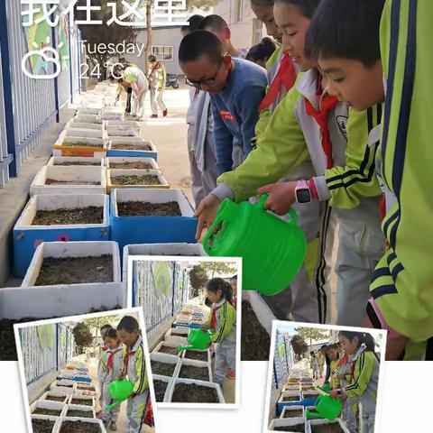 【东小校讯】我们，发芽啦！           ―― 清水县东关小学红领巾课外实践活动掠影