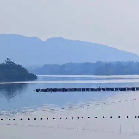 我问青山何日老​青山问我幾時閑