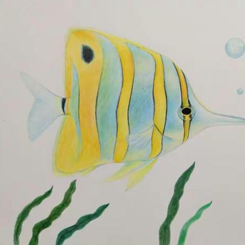 彩铅手绘――蝴蝶鱼