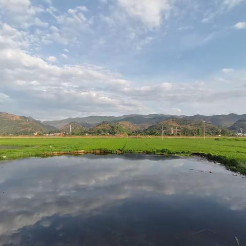 筑梦美丽家园之四
