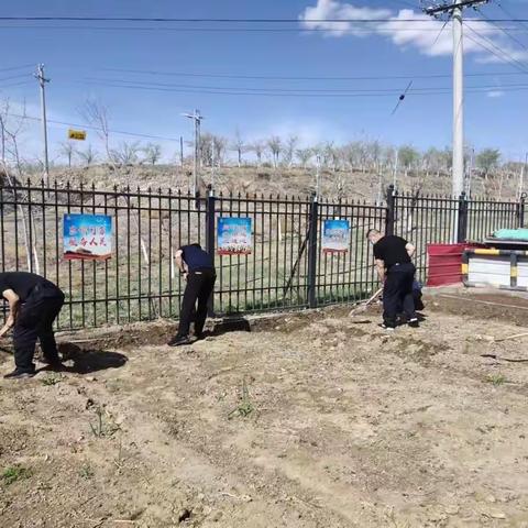 哈密神舟保安守护押运有限公司伊吾中队开展种菜活动