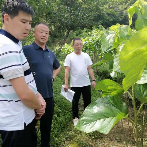 李建生在龙泉街道西山村开展走访调研