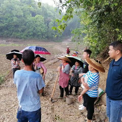 基地示范形成强辐射  撂荒地里焕发新光彩