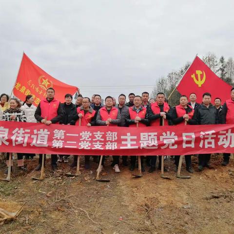 植下“绿水青山”   迎来“金山银山”——龙泉街道组织开展义务植树活动