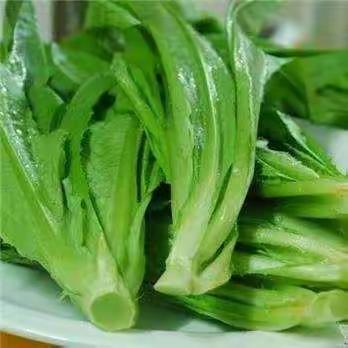 油麦菜的自述