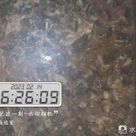 净月养老院早餐 老人840护工240