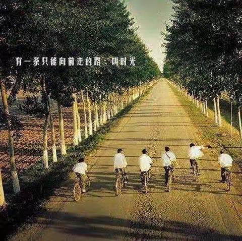芝罘中学2020级1班～我们的初一生活