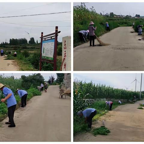 和庄镇东平洲村：持续推进农村人居环境整治，建设新时代“靓颖”乡村