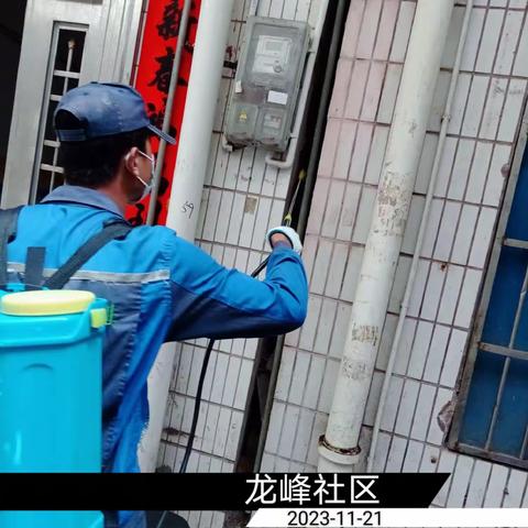 2023年11月21日蓝天海府片区病媒防制工作日志