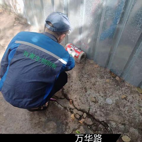 2023年12月5日蓝天海府片区病媒防制工作日志