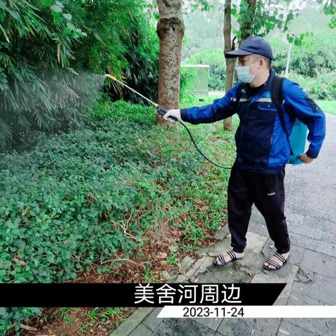 2023年11月24日蓝天海府片区病媒防制工作日志