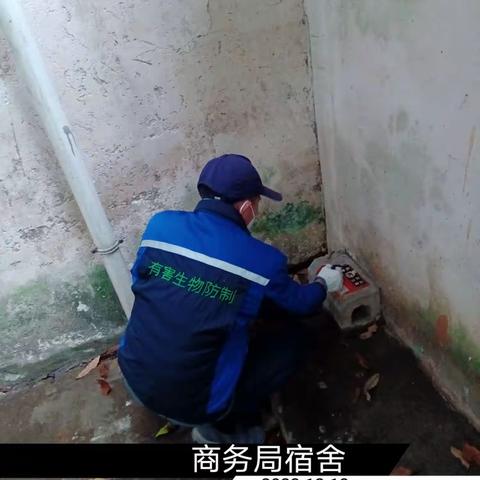 2023年12月18日蓝天海府片区病媒防制工作日志