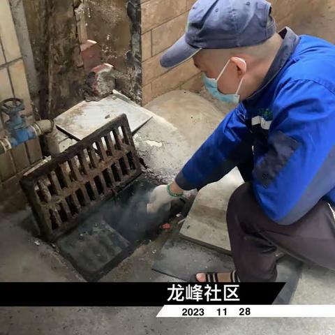 2023年11月28日蓝天海府片区病媒防制工作日志