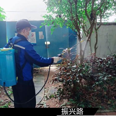 2023年12月12日蓝天海府片区病媒防制工作日志