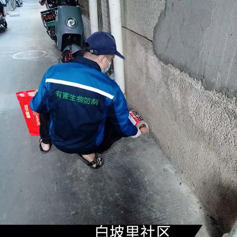 2023年12月4日蓝天海府片区病媒防制工作日志