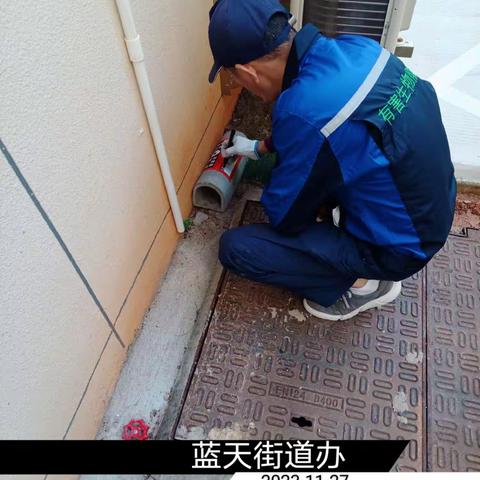 2023年11月27日蓝天海府片区病媒防制工作日志