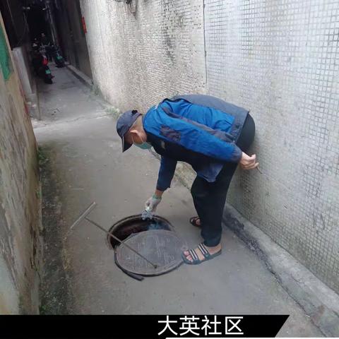 2023年11月22日蓝天海府片区病媒防制工作日志