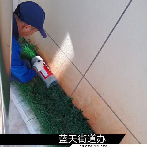 2023年11月23日蓝天海府片区病媒防制工作日志