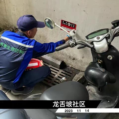 2023年11月14日蓝天海府片区病媒防制工作日志