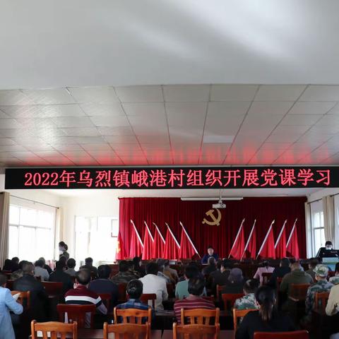 昌江黎族自治县自然资源和规划局到乌烈镇峨港村组织开展党课学习