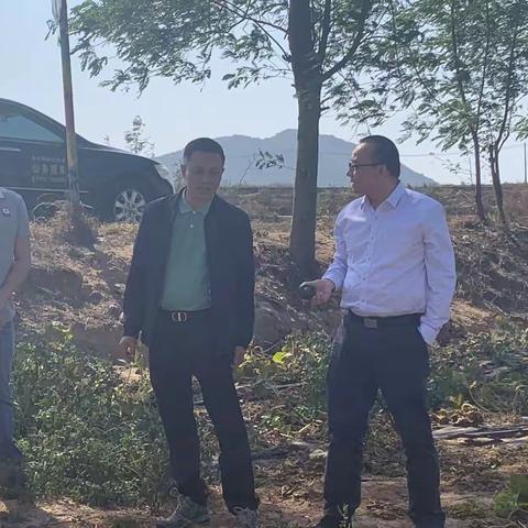 副县长陆建华到十月田镇调研耕地保护工作