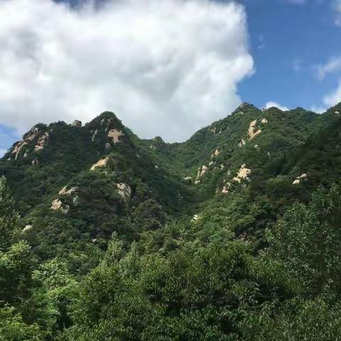 【开封驴友吧野线】6月11日（周日）野线穿越鲁山～八连瀑一日休闲溜腿